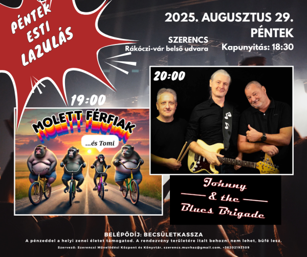 Péntek esti lazulás: Johnny and the Blues Brigade