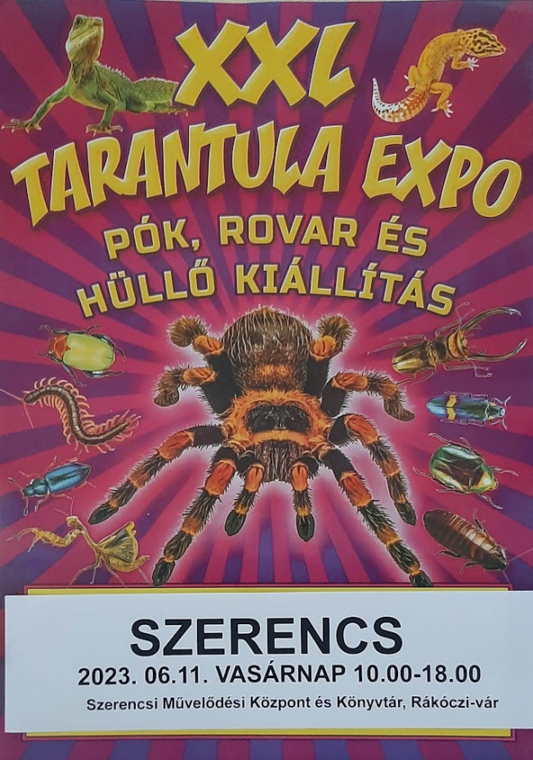 Tarantula Expo